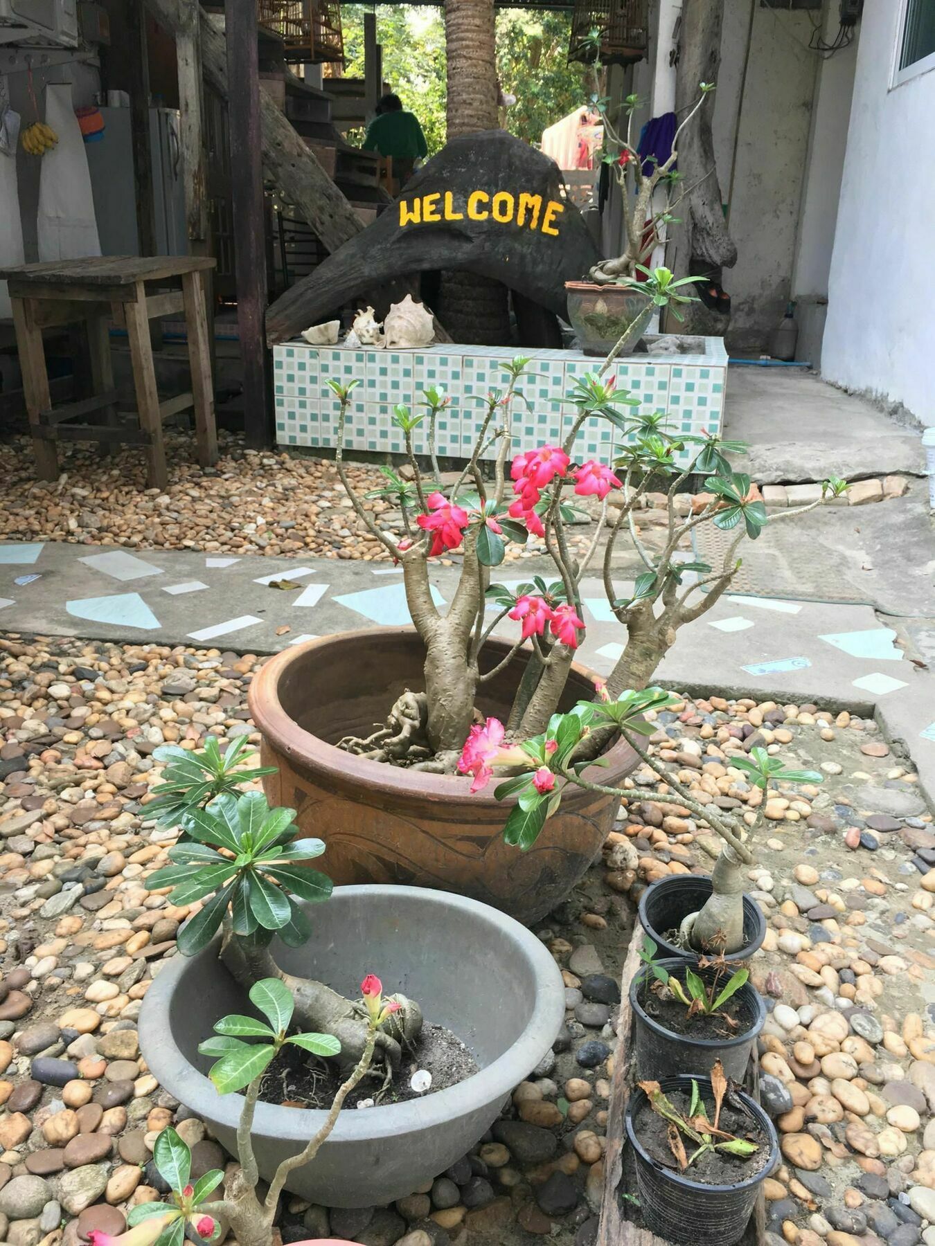 Miss Hong House Otel Koh Samet Dış mekan fotoğraf
